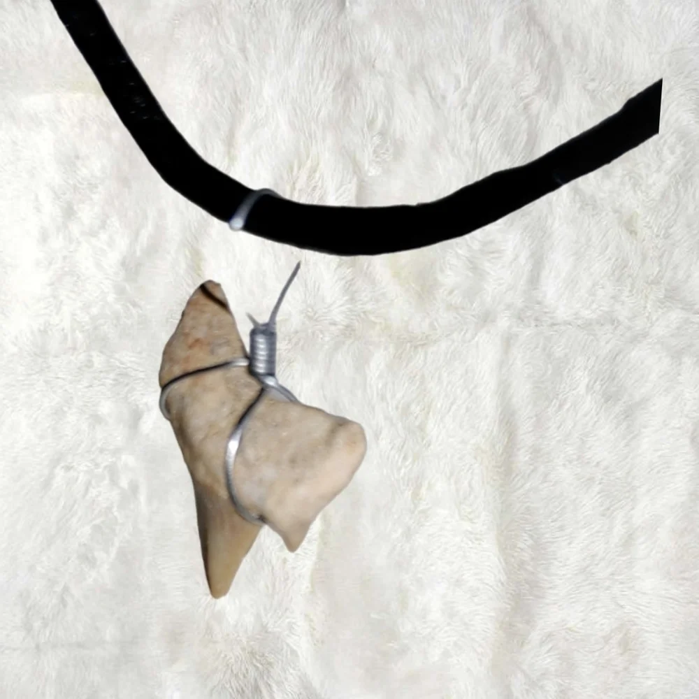 Genuine Fossilized Shark Tooth Pendant w/ Cord Necklace